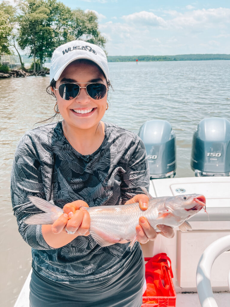 My first time catching the invasive blue catfish in the Potomac River